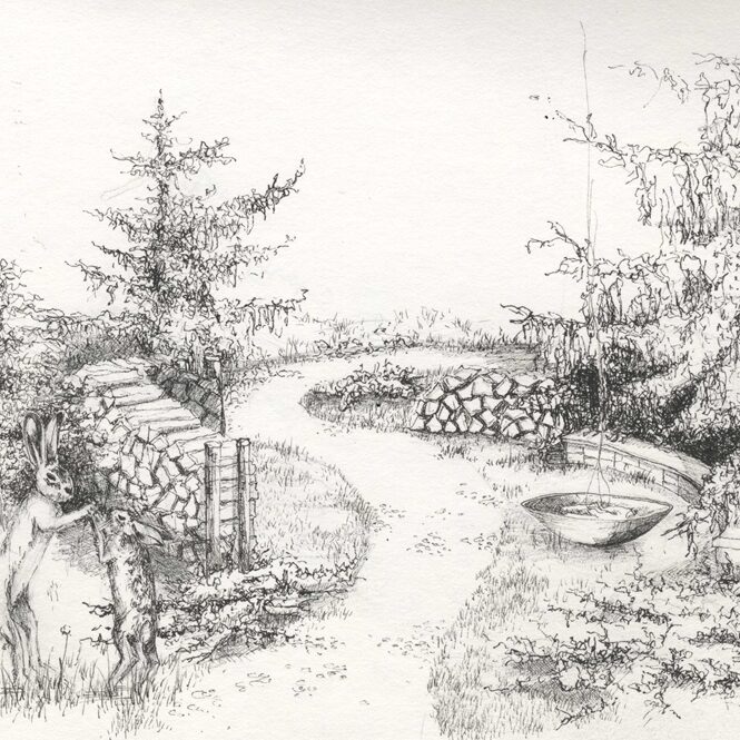 Bildmaterial: Ein naturnaher Garten – mehr als nur ein Hype